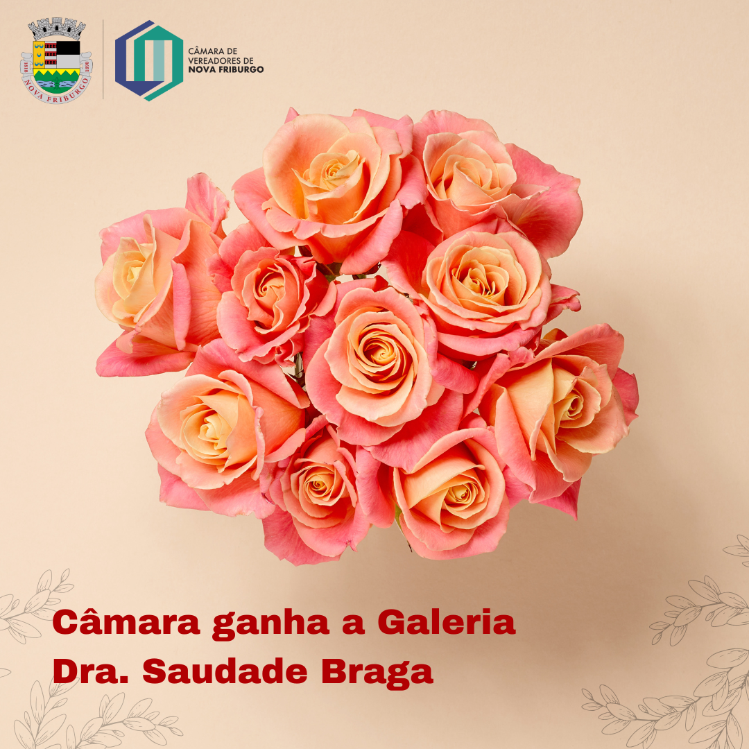 Câmara ganha a Galeria Dra. Saudade Braga